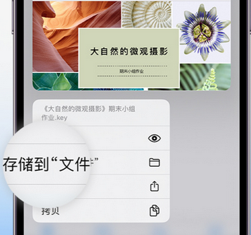 张沟镇apple维修中心分享iPhone文件应用中存储和找到下载文件