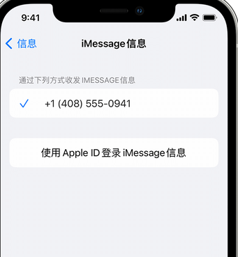 张沟镇apple维修iPhone上无法正常发送iMessage信息 