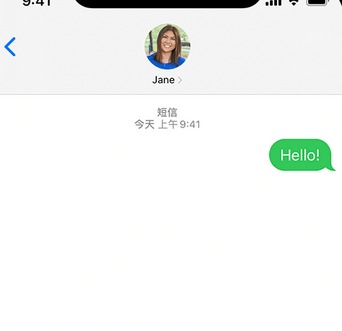 张沟镇apple维修iPhone上无法正常发送iMessage信息