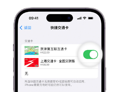 张沟镇apple维修点分享iPhone上更换Apple Pay快捷交通卡手绘卡面 