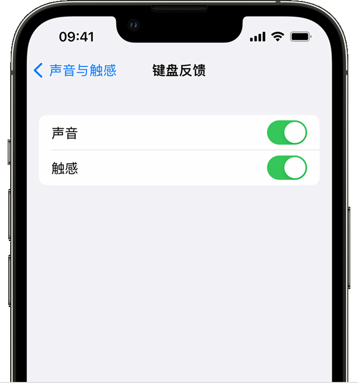 张沟镇苹果14维修店分享如何在 iPhone 14 机型中使用触感键盘 