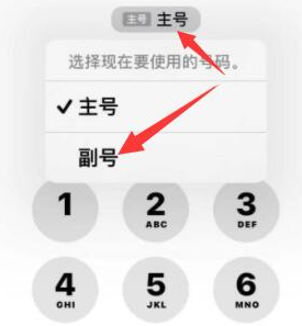 张沟镇苹果14维修店分享iPhone 14 Pro Max使用副卡打电话的方法 