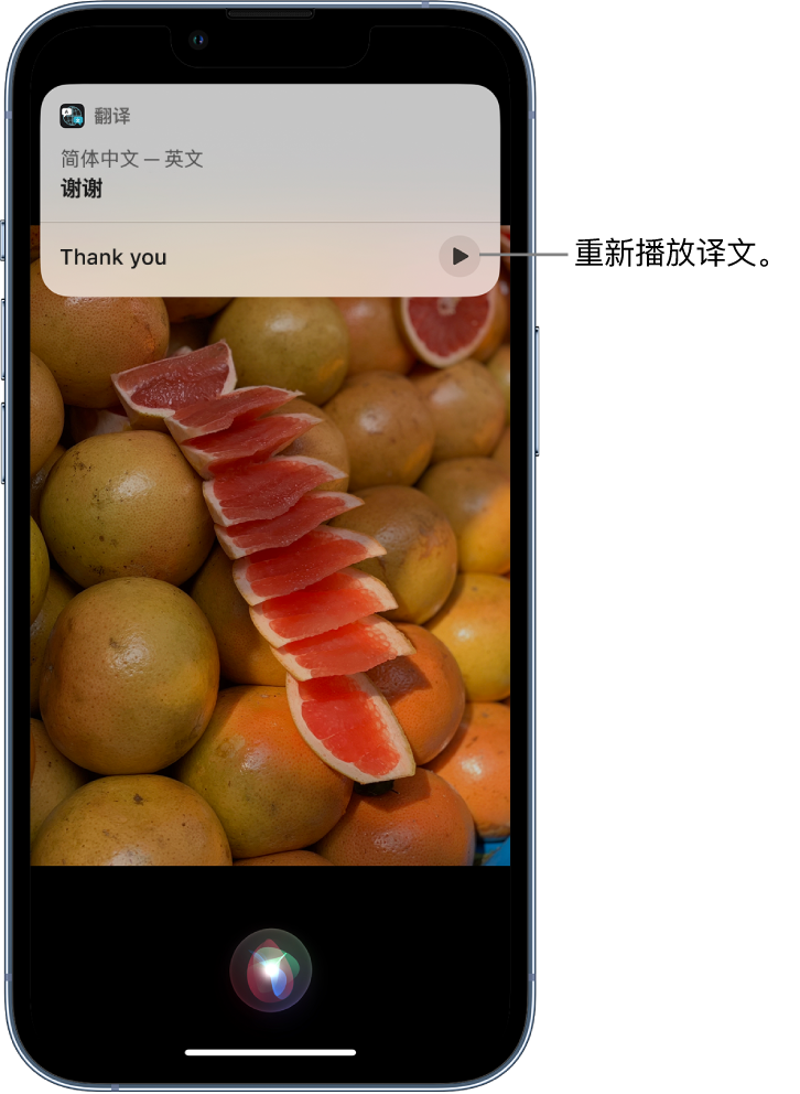 张沟镇苹果14维修分享 iPhone 14 机型中使用 Siri：了解 Siri 能帮你做什么 