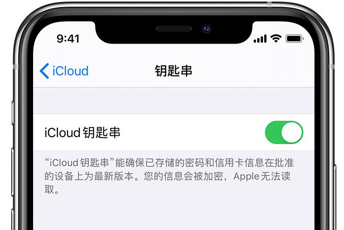 张沟镇苹果手机维修分享在 iPhone 上开启 iCloud 钥匙串之后会储存哪些信息 